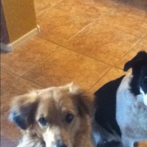 Meet your Posher, Soledad